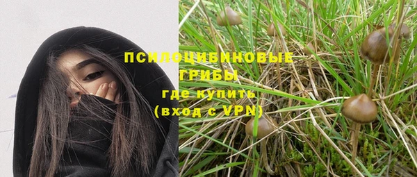 крисы Богородск