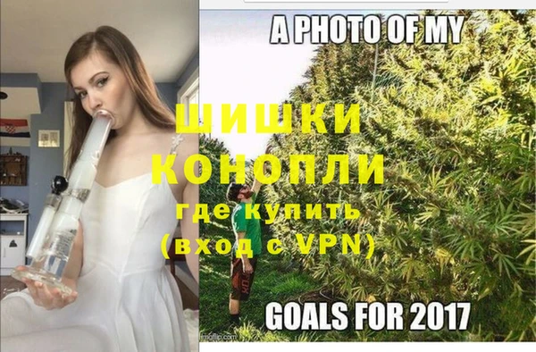 крисы Богородск