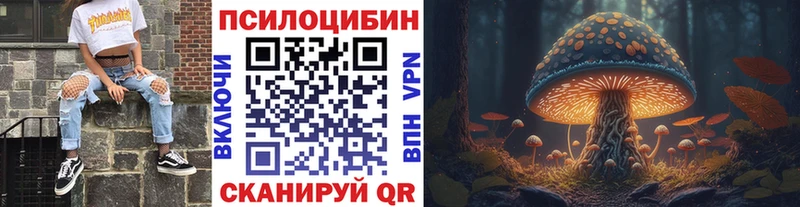 kraken ССЫЛКА  купить наркоту  Борисоглебск  Псилоцибиновые грибы Magic Shrooms 